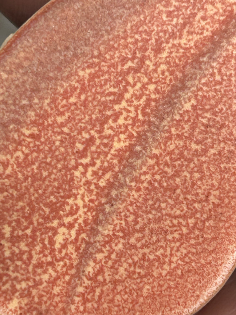 1401 Cherry Salmon Shino Pint– Rovin Ceramics