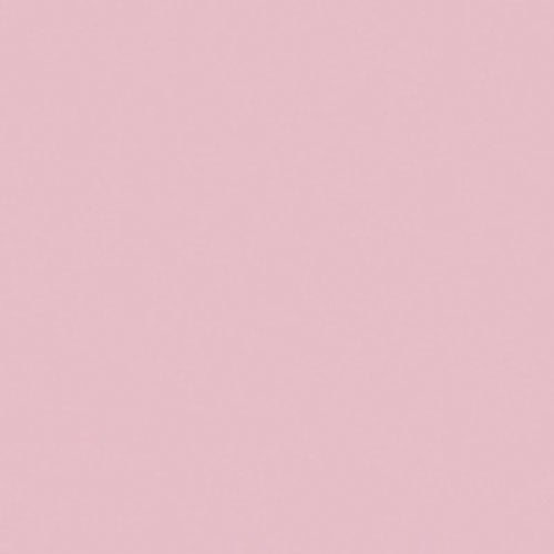 6020 Bubble Gum Pink Mason Pottery Stain