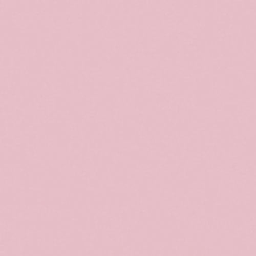Colorworks Solid Bubble Gum Pink